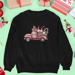 Christmas Gnomes in Truck