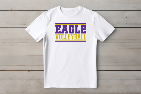 Eagle Volleyball