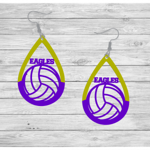 Teardrop Eagle Volleyball