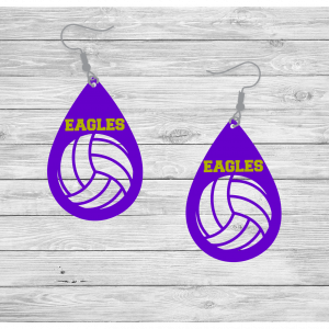 Teardrop Eagle Volleyball